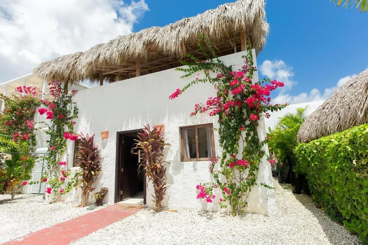 Villa Retreat In Ibiza, Punta Cana