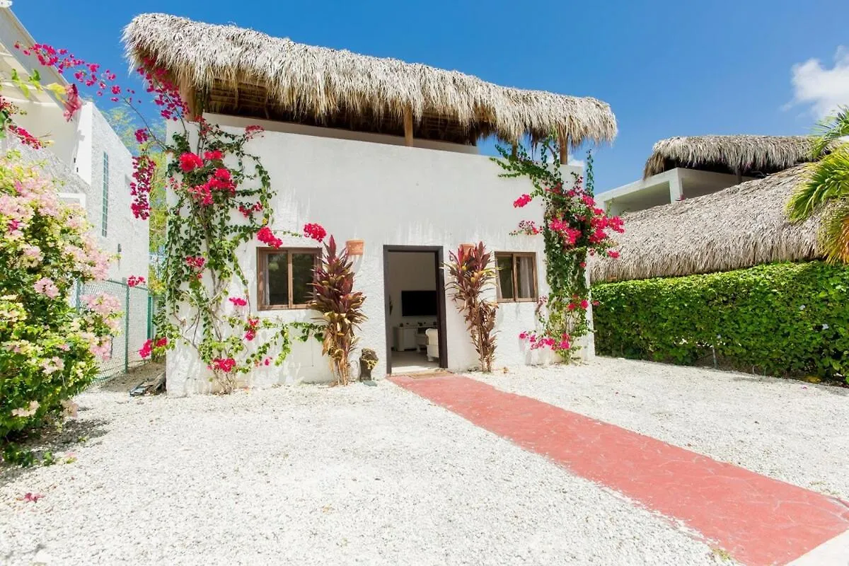 Villa Retreat In Ibiza, Punta Cana 0*,  Dominican Republic