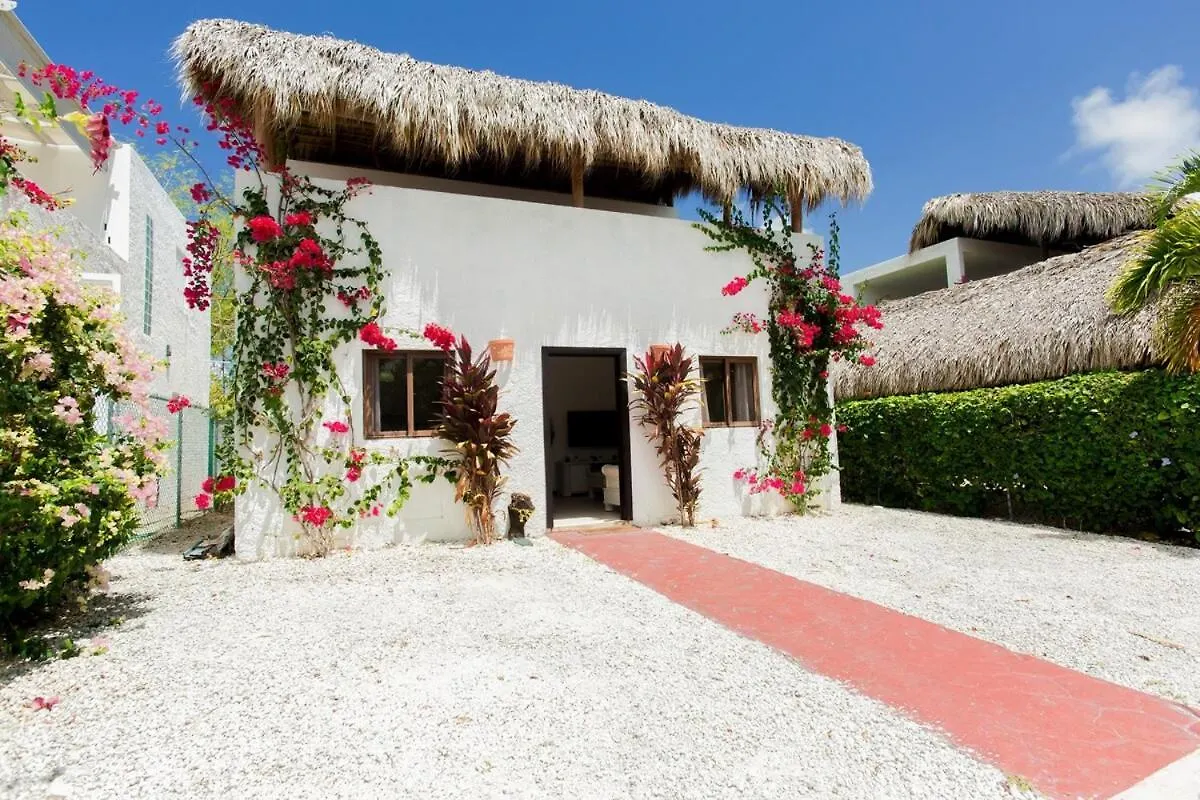 Villa Retreat In Ibiza, Punta Cana 0*,